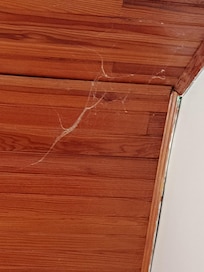 Toiles d'araignée au dessus du lit