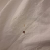 Blood on supposed clean sheets