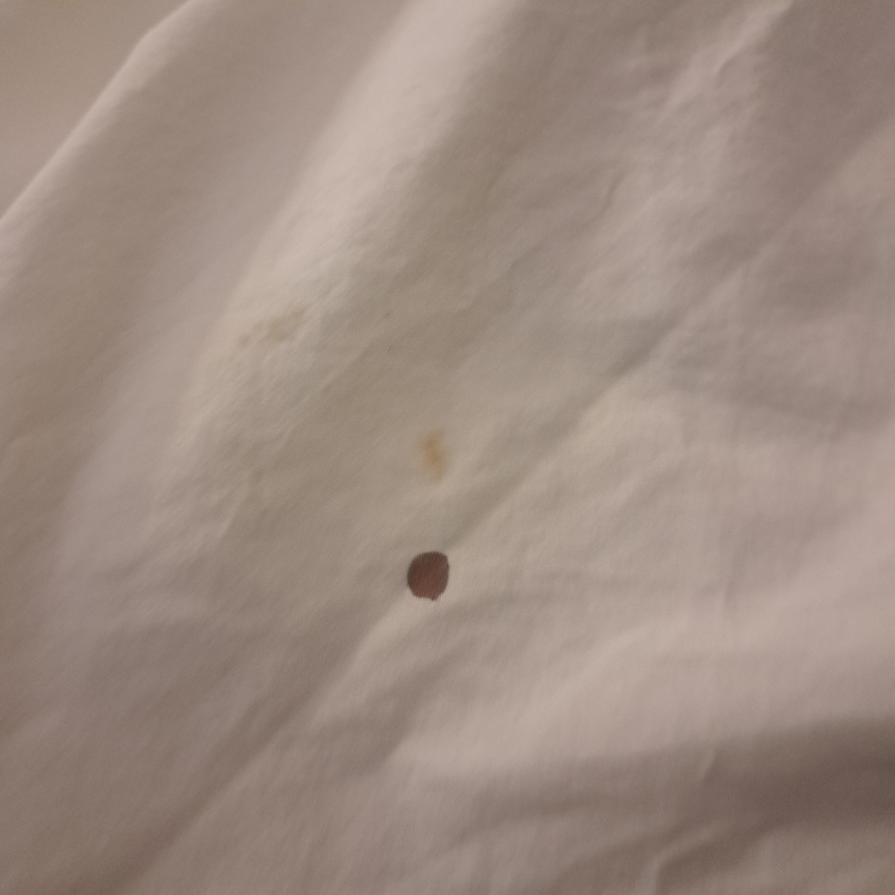Blood on supposed clean sheets