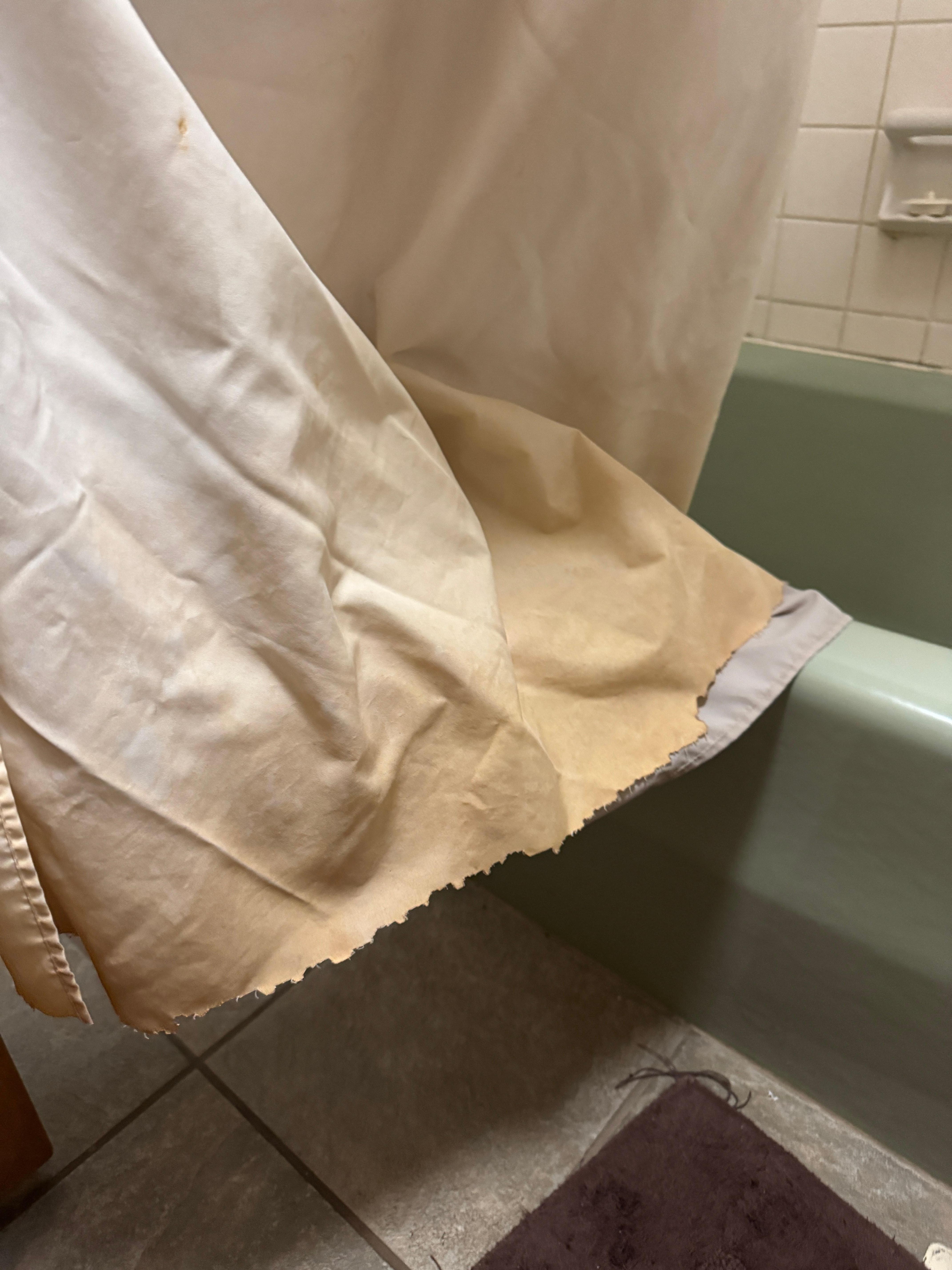 Shower liner on main floor