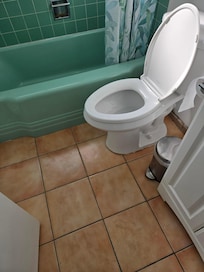 Toilet was unstable and felt like it was going to tip over when I sat on it. And bathtub didn't drain