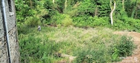 Le terrain présenté sur le site n'est pas du tout fauché, nettoyé et ne permet d'avancer au bord de la rivière, tel est noté sur le site. Dommage pour les pêcheurs où accessibilité impossible. Nous avons pris la location pour ça .