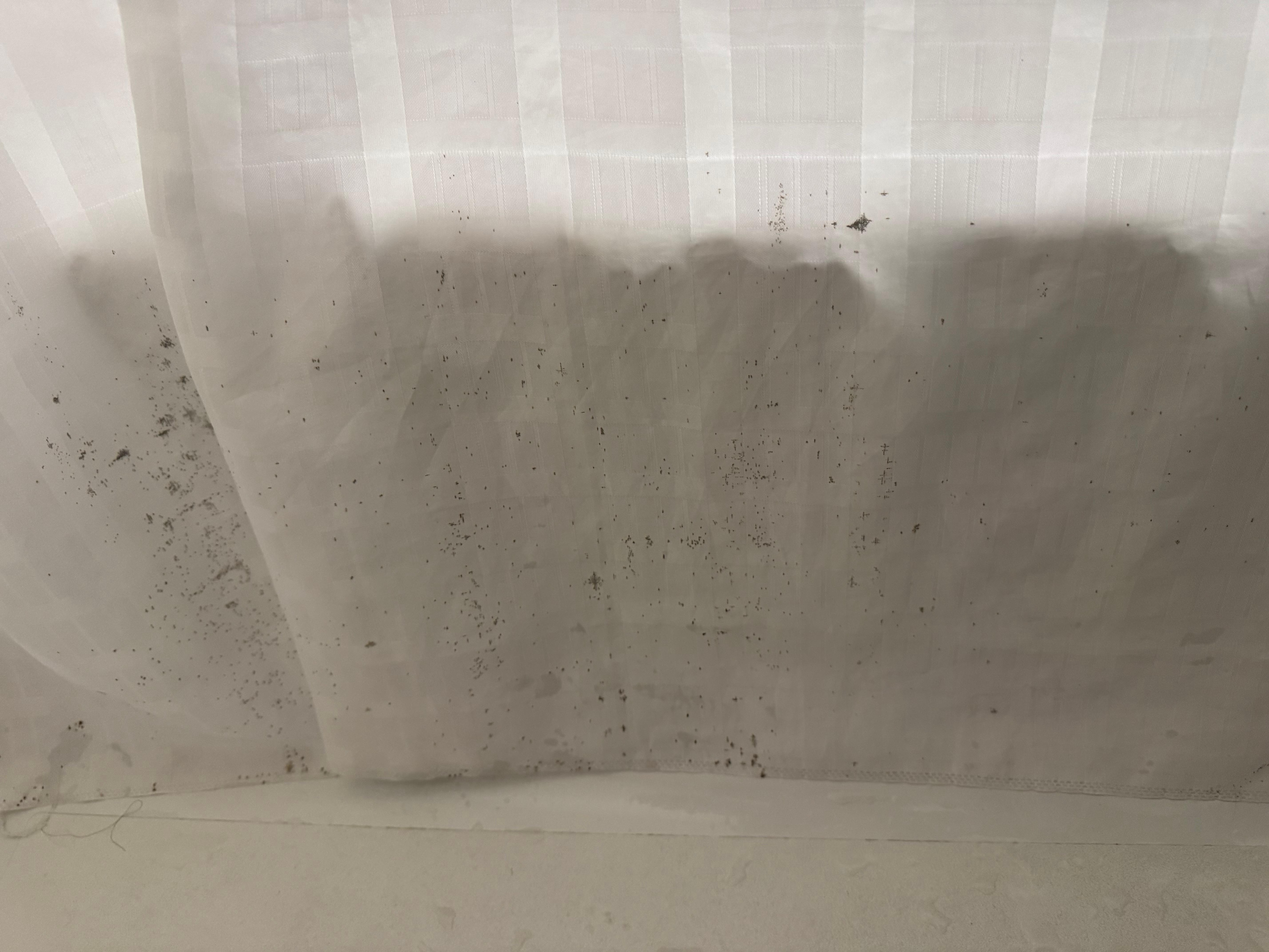 More mold on the shower curtain