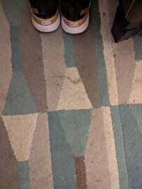 Previous guests hair and state of living room rug.