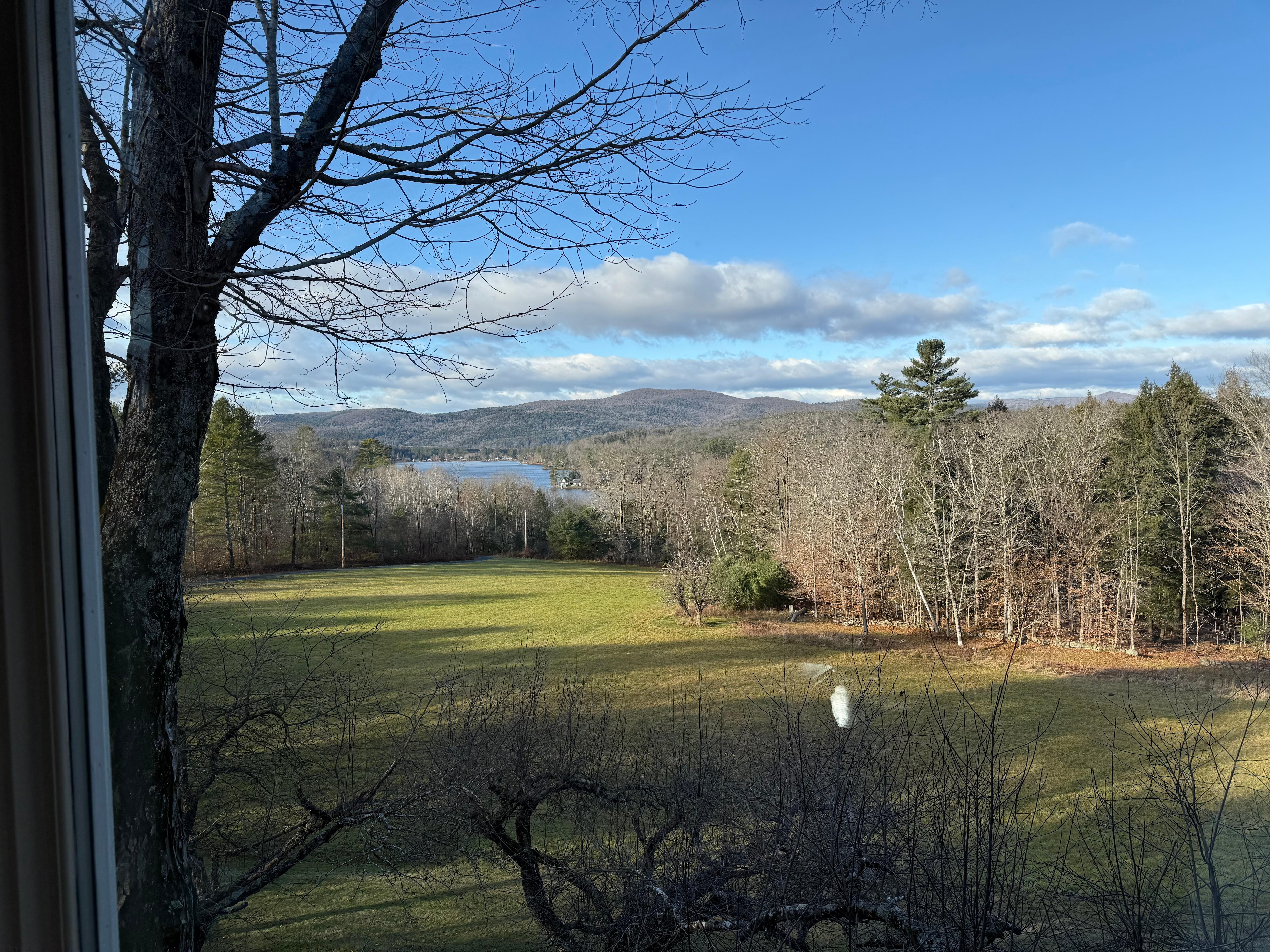 Morning on the lake. 