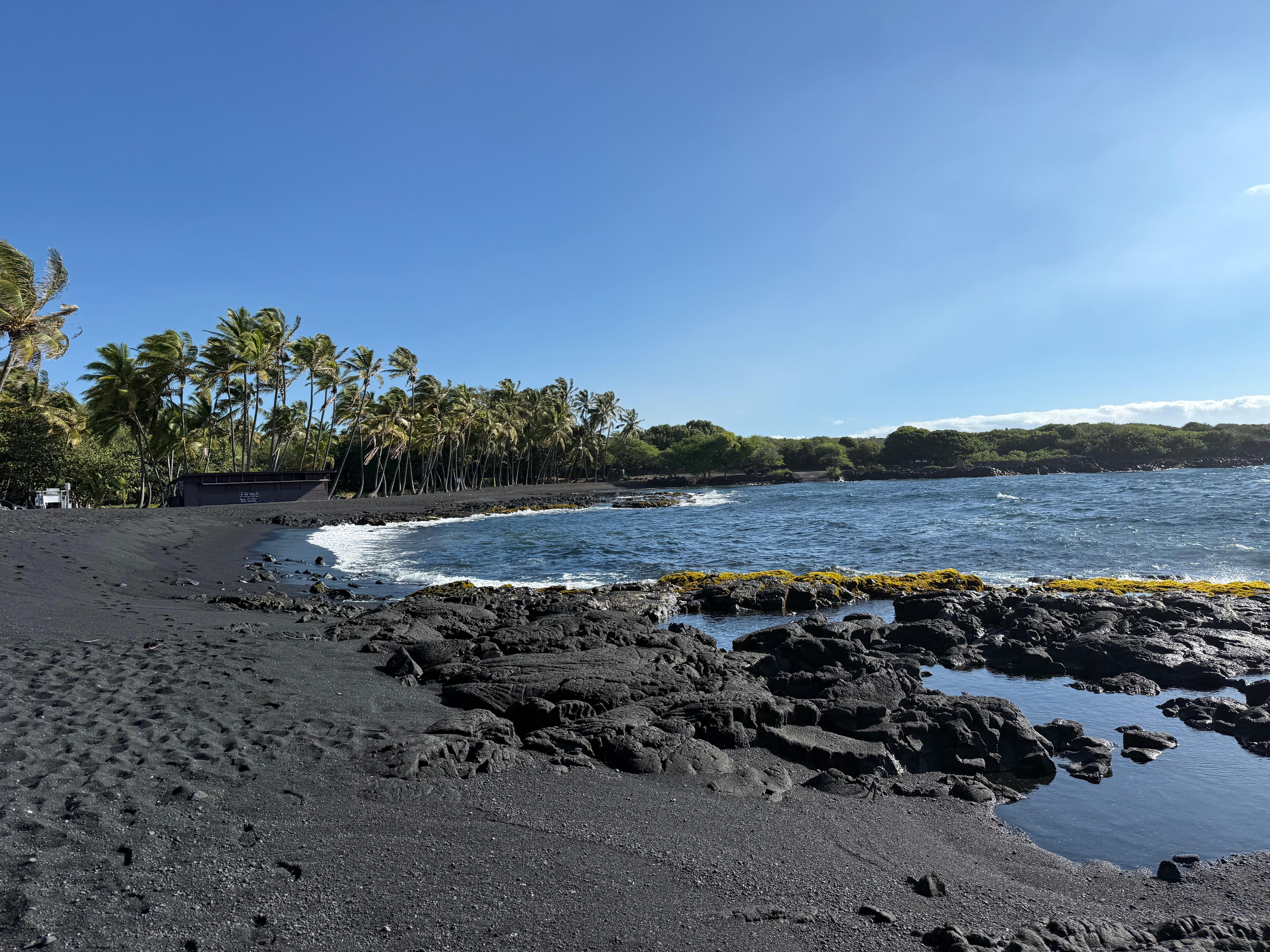 Easy walk and lots of turtles!