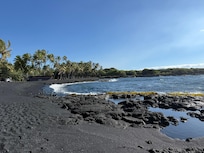 Easy walk and lots of turtles!