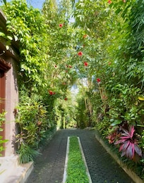 The walkways