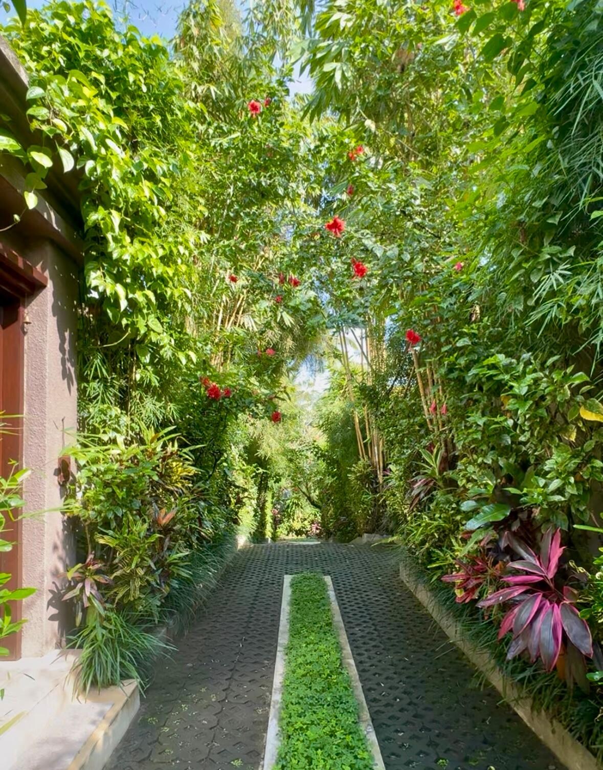 The walkways