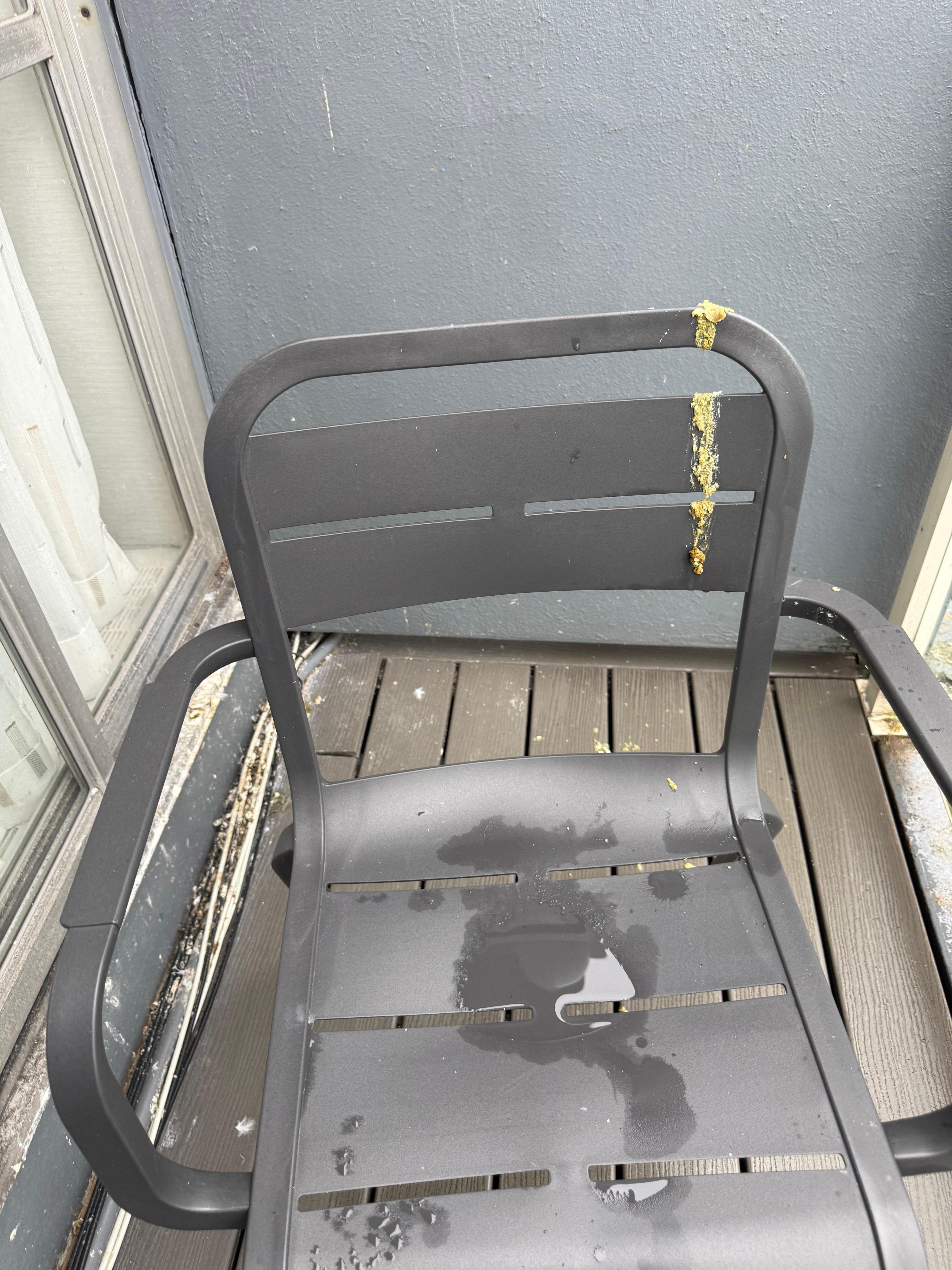 Pigeon poop everywhere on the balcony