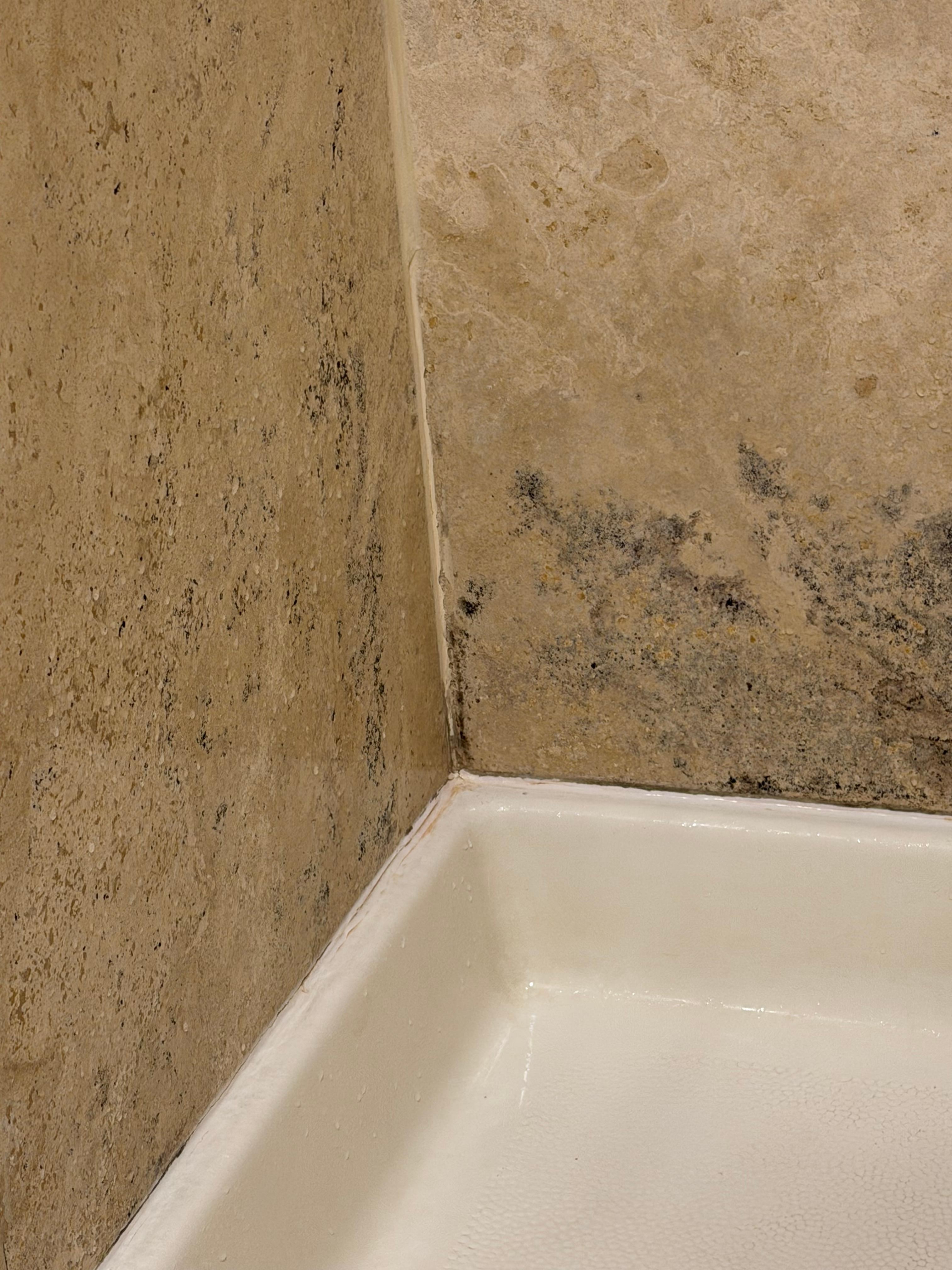 Mold in shower