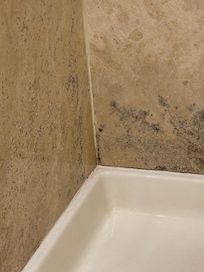 Mold in shower