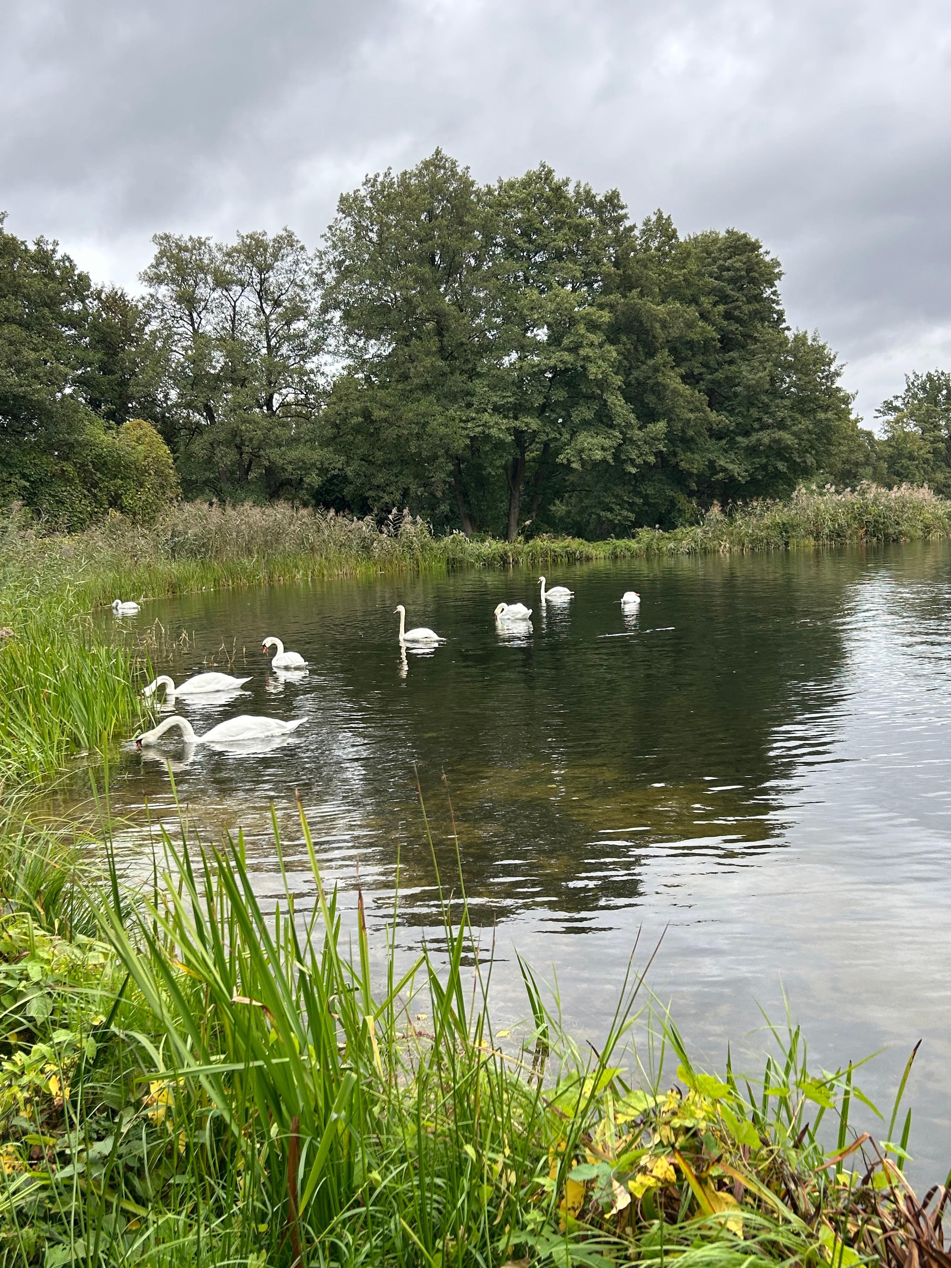 Meissendorfer Teiche, schöne Rundwanderung