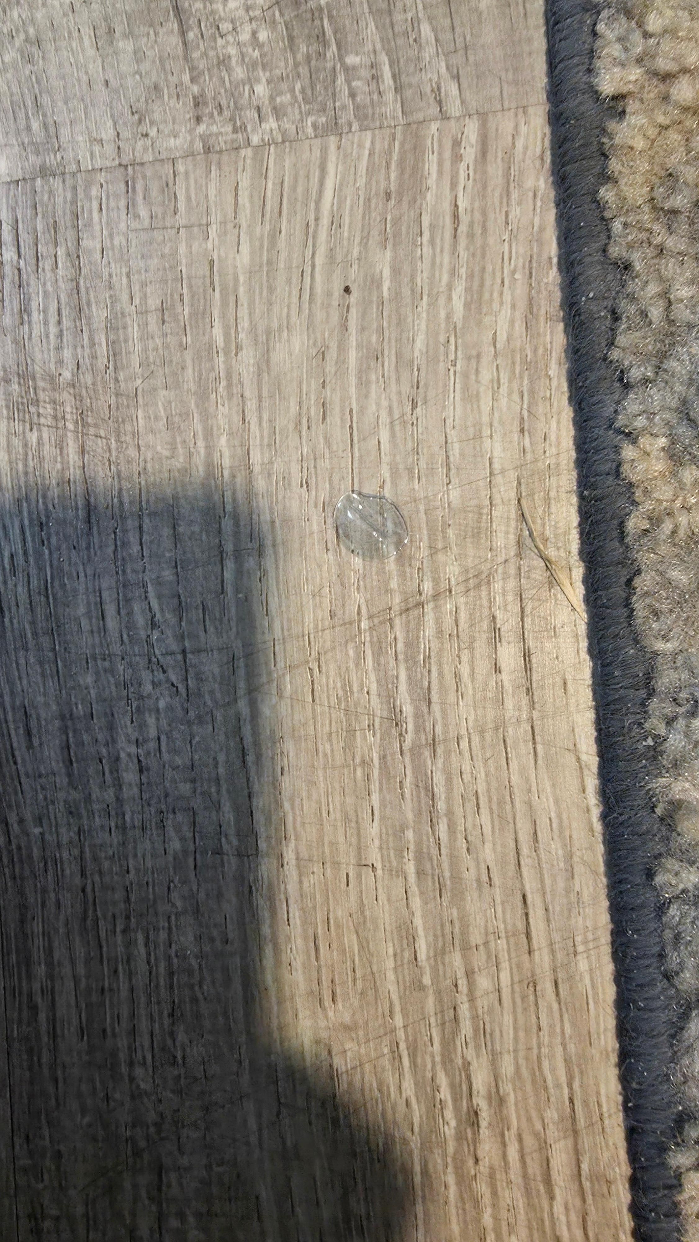 Old contact lenses on floor