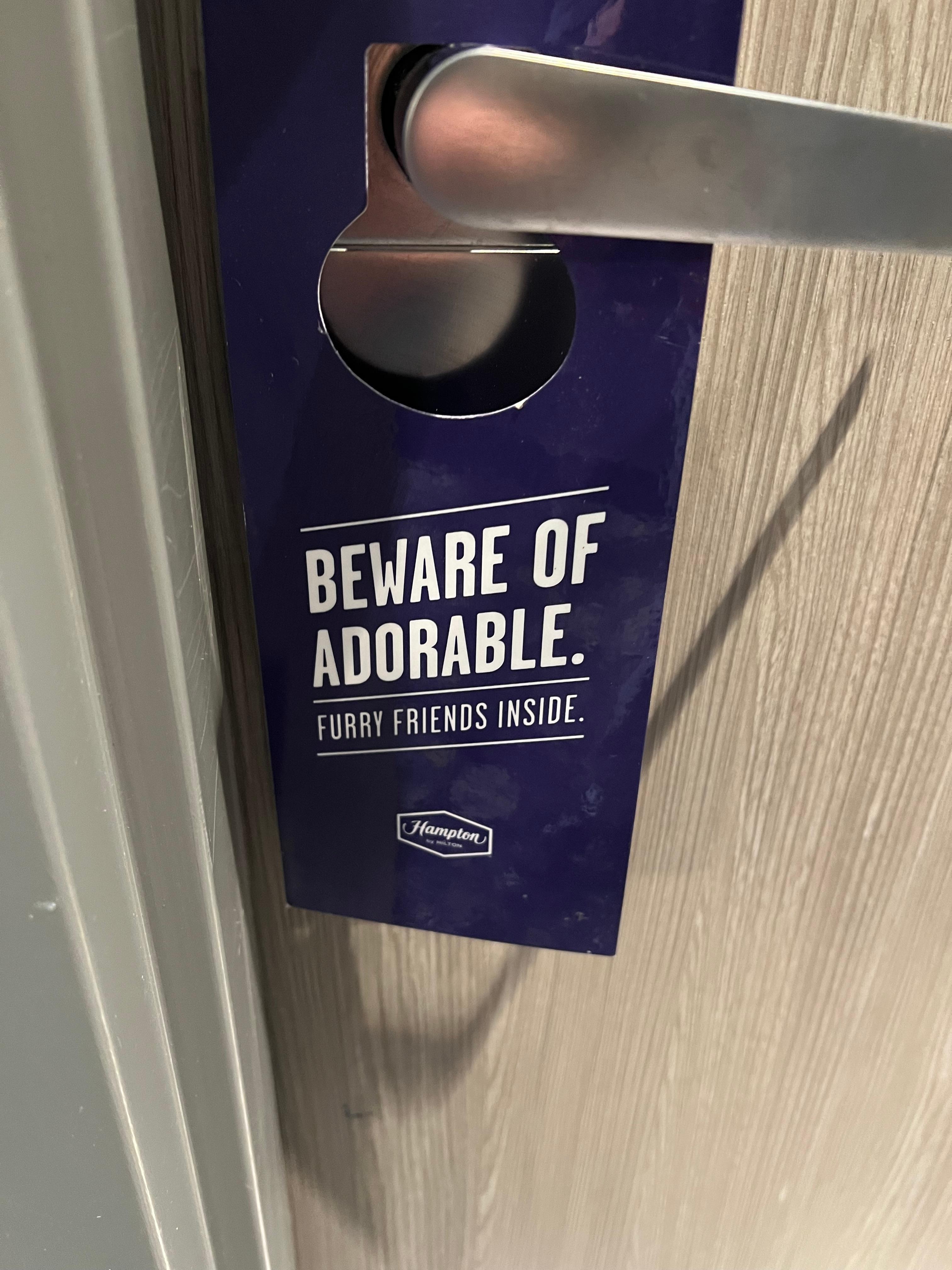 Very friendly with my pup. 