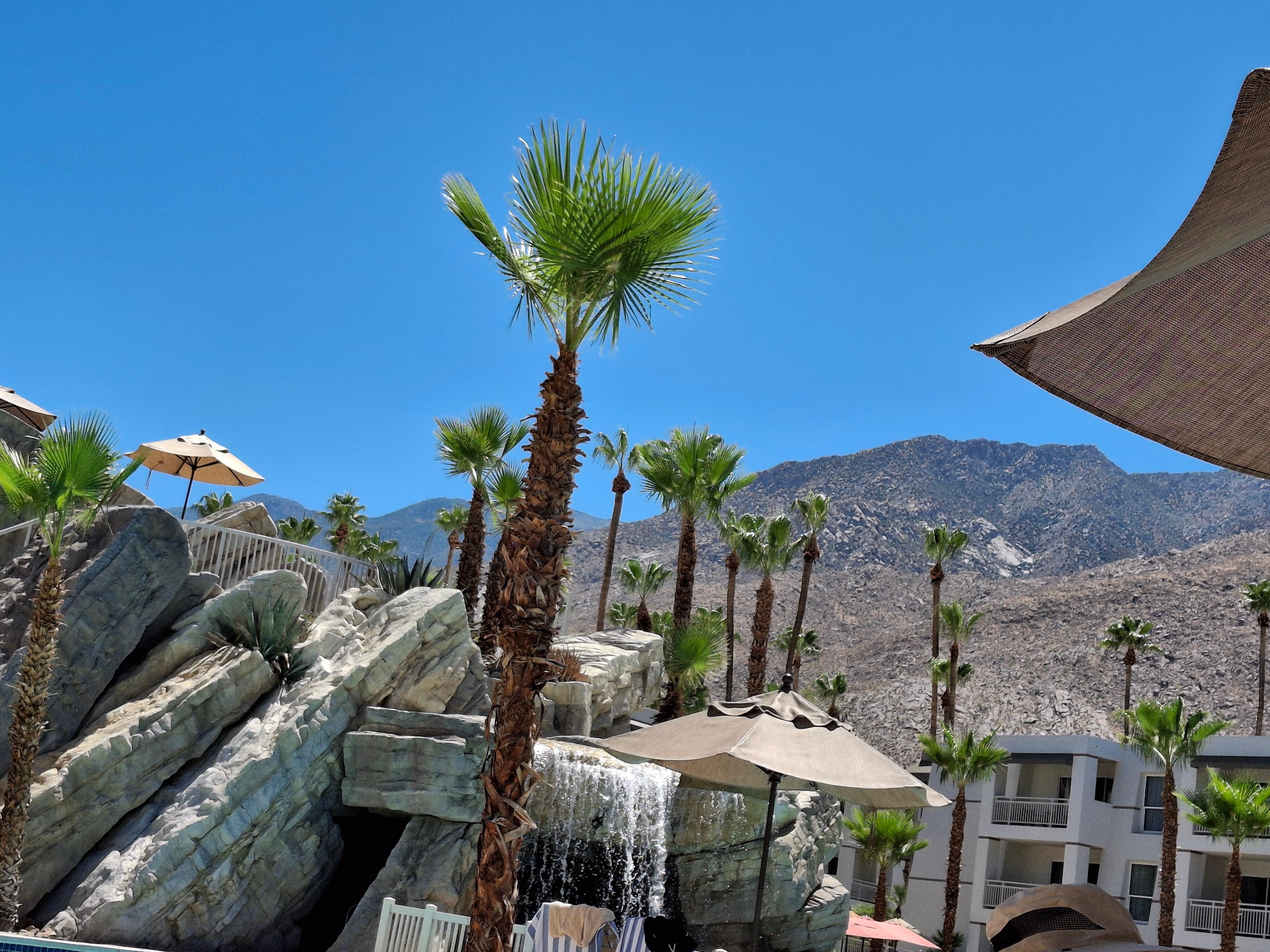 Beautiful view from poolside. 