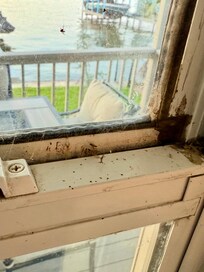 Bedroom window