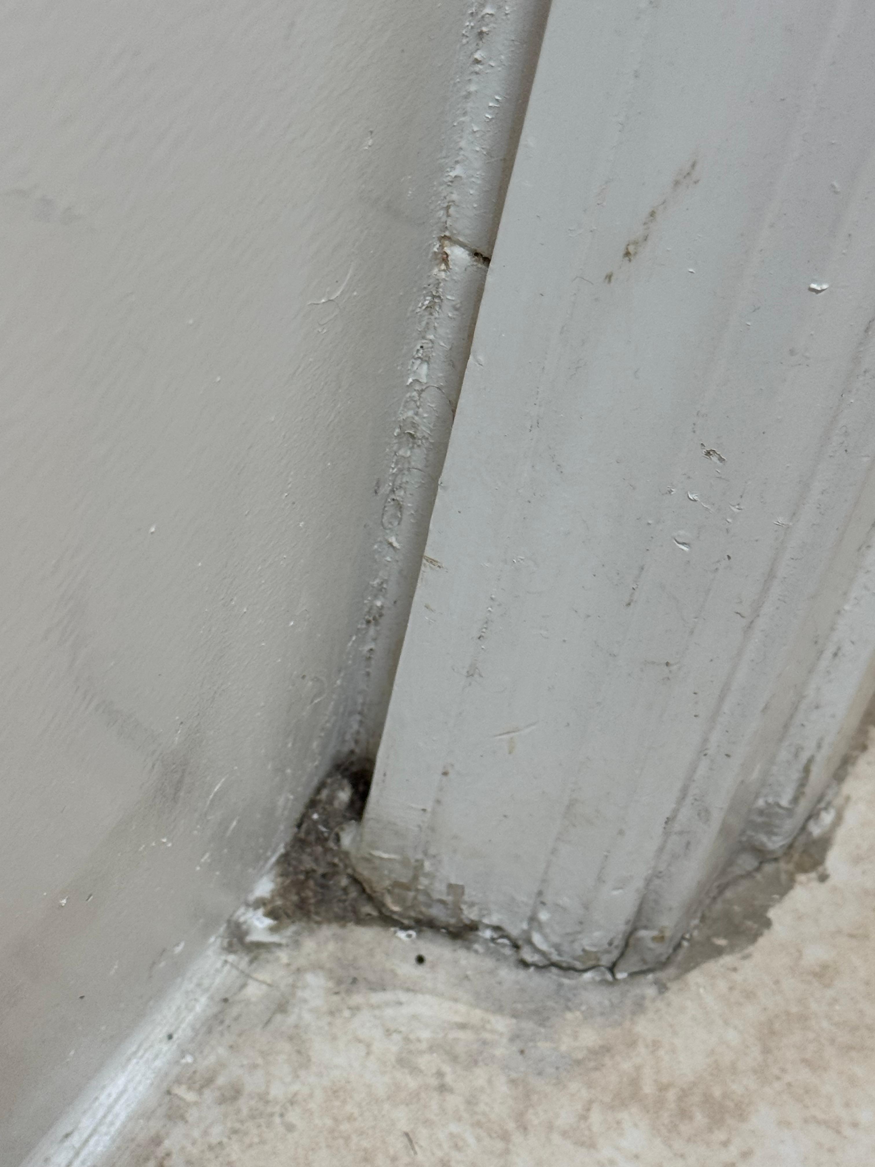 Dirt in the corner