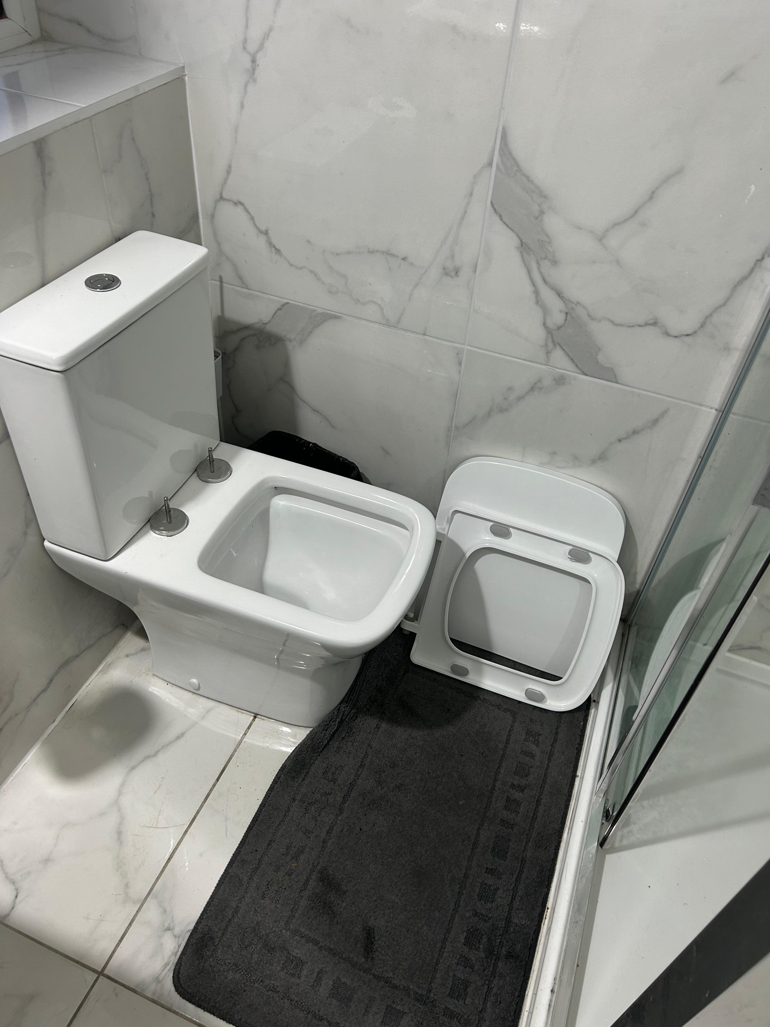 Shared toilet with broken toilet seat