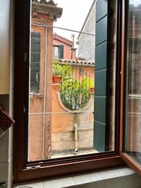 View from kitchen window!