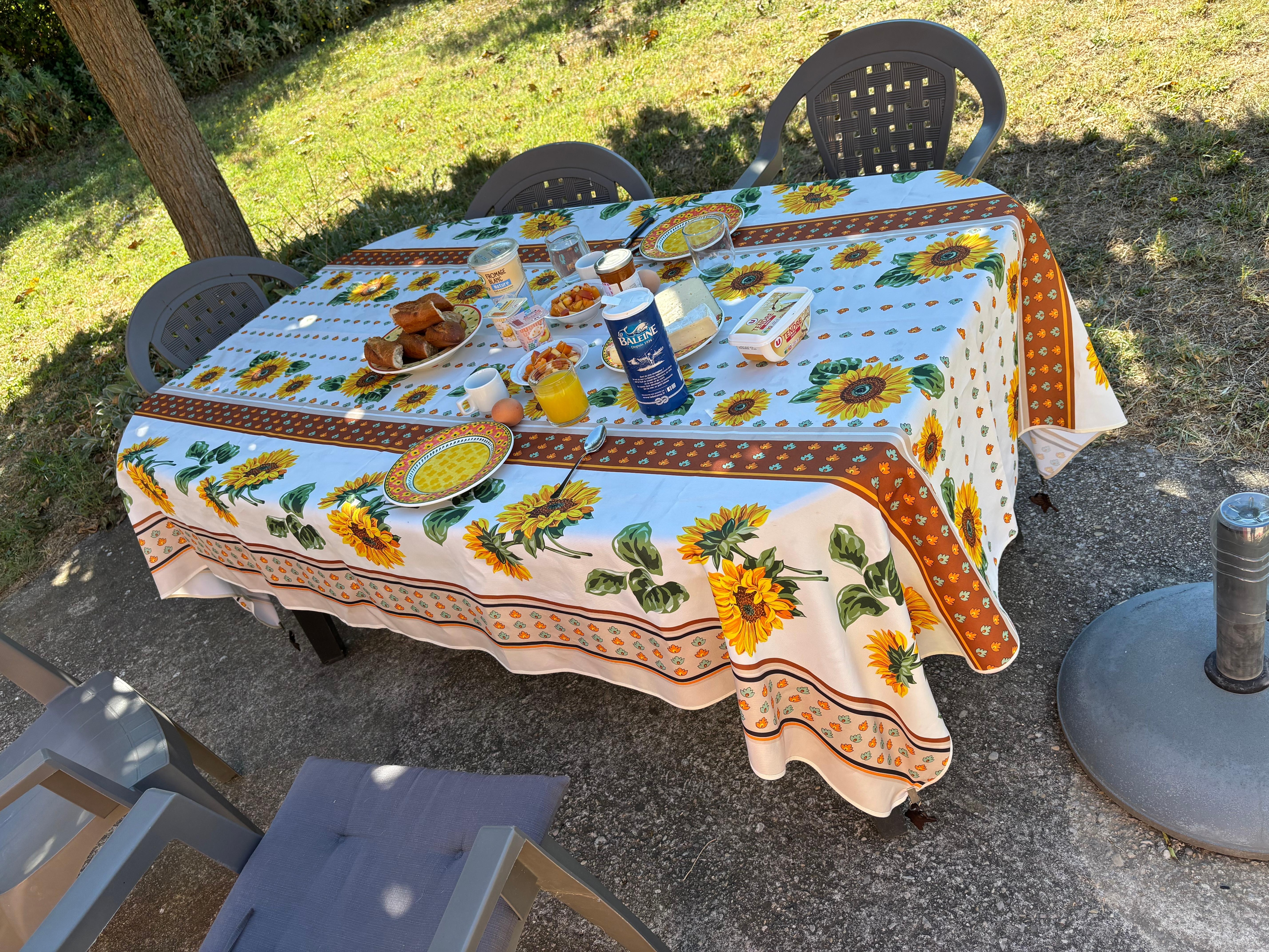 Oder in der Abendsonne