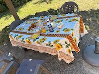 Oder in der Abendsonne