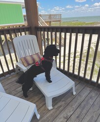 Enjoying the view from the back