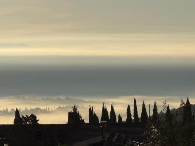 View from the terrace 