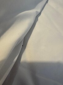 Have a video also of bugs crawling in sheets