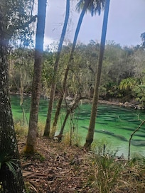 Blue Springs, a.must see especially when the manatees are there to seek refuge from the cold waters. The spring is a constant like 74 ish degrees. There were close to 500 when we were there. Incredible. 12 to 15 min from hotel!