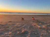 No driving needed to get to the beach, just walk outside !