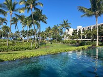 View from the adults-only pool with swim-up bar