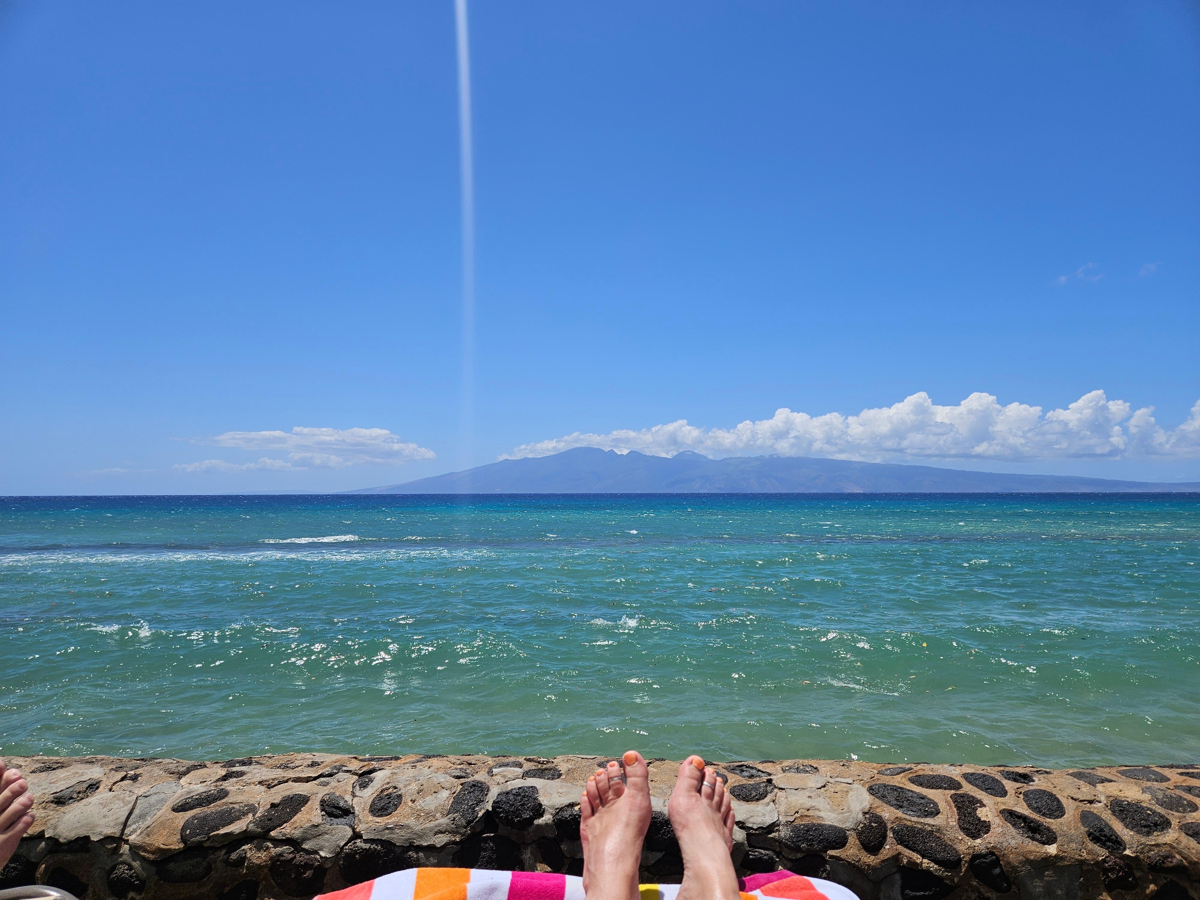 So relaxing to be reading and looking at this view!