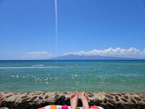 So relaxing to be reading and looking at this view!