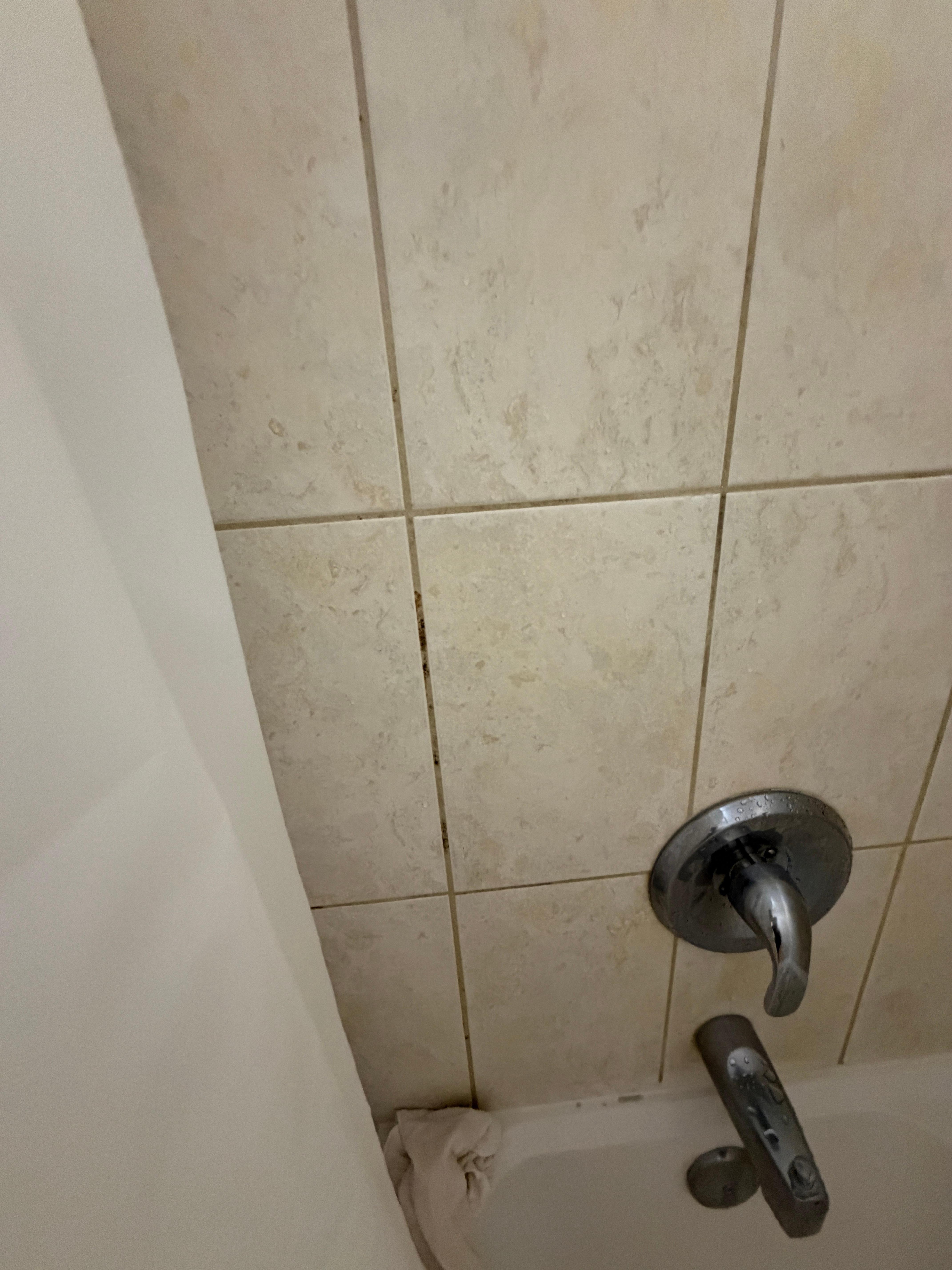 Mold in the bathtub grout 