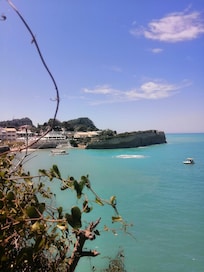 D'Amour Cove area