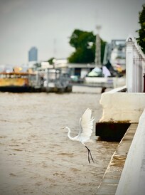 Morning view from the hotel’s restaurant