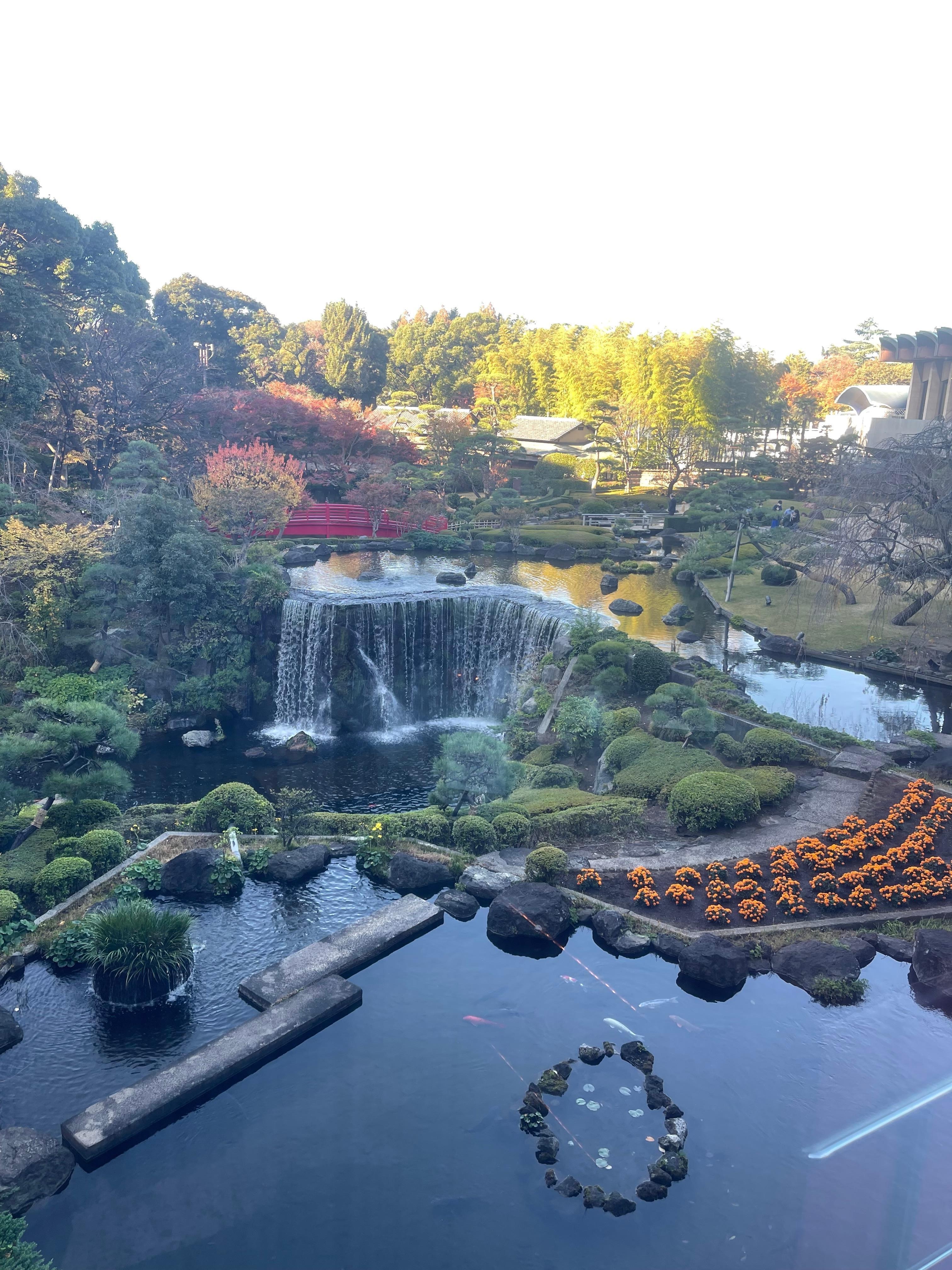 View to the garden while eating breakfast