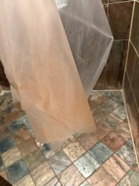 Disgusting mold on shower curtain