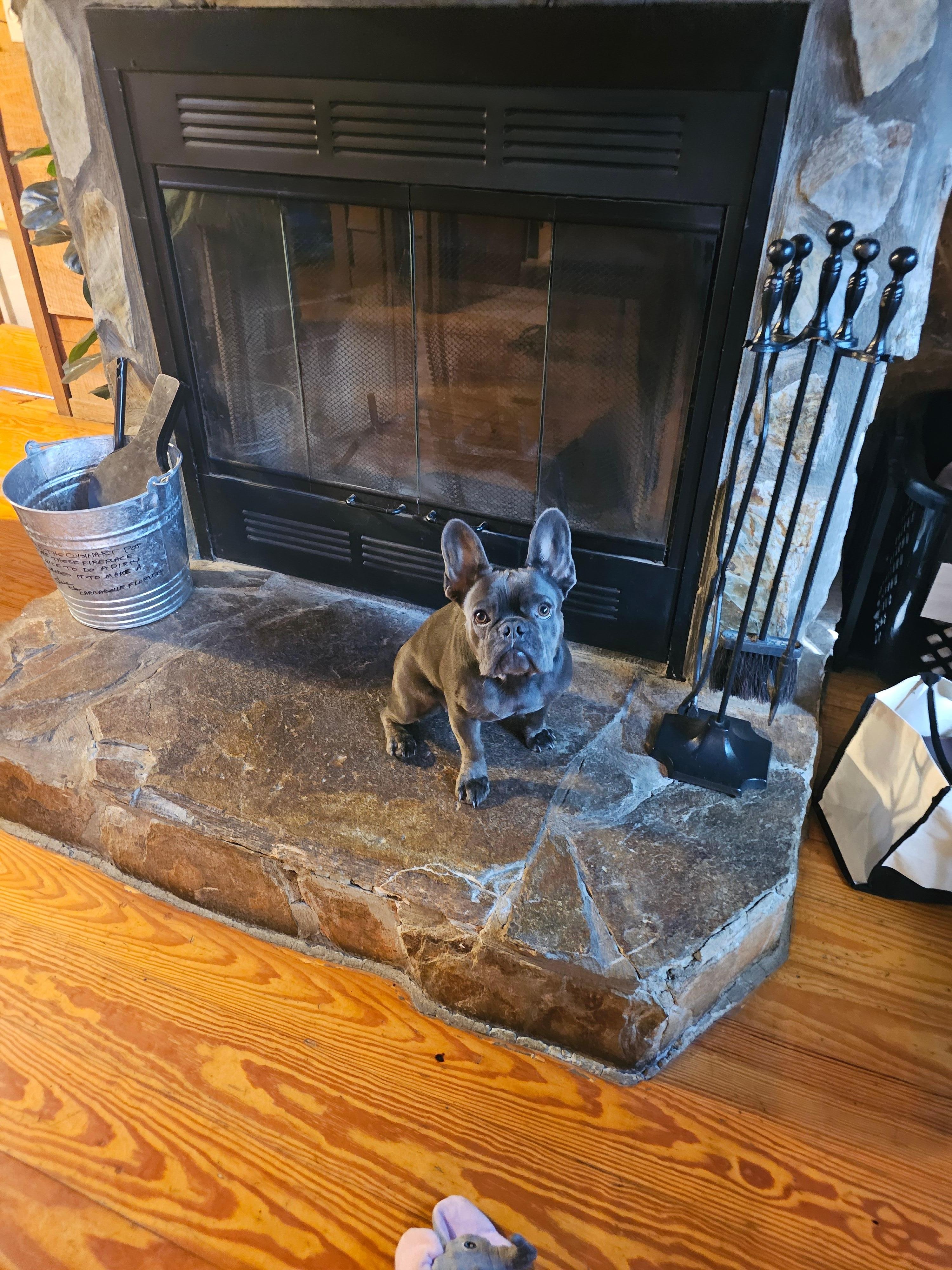 Fiona enjoyed the cabin too!