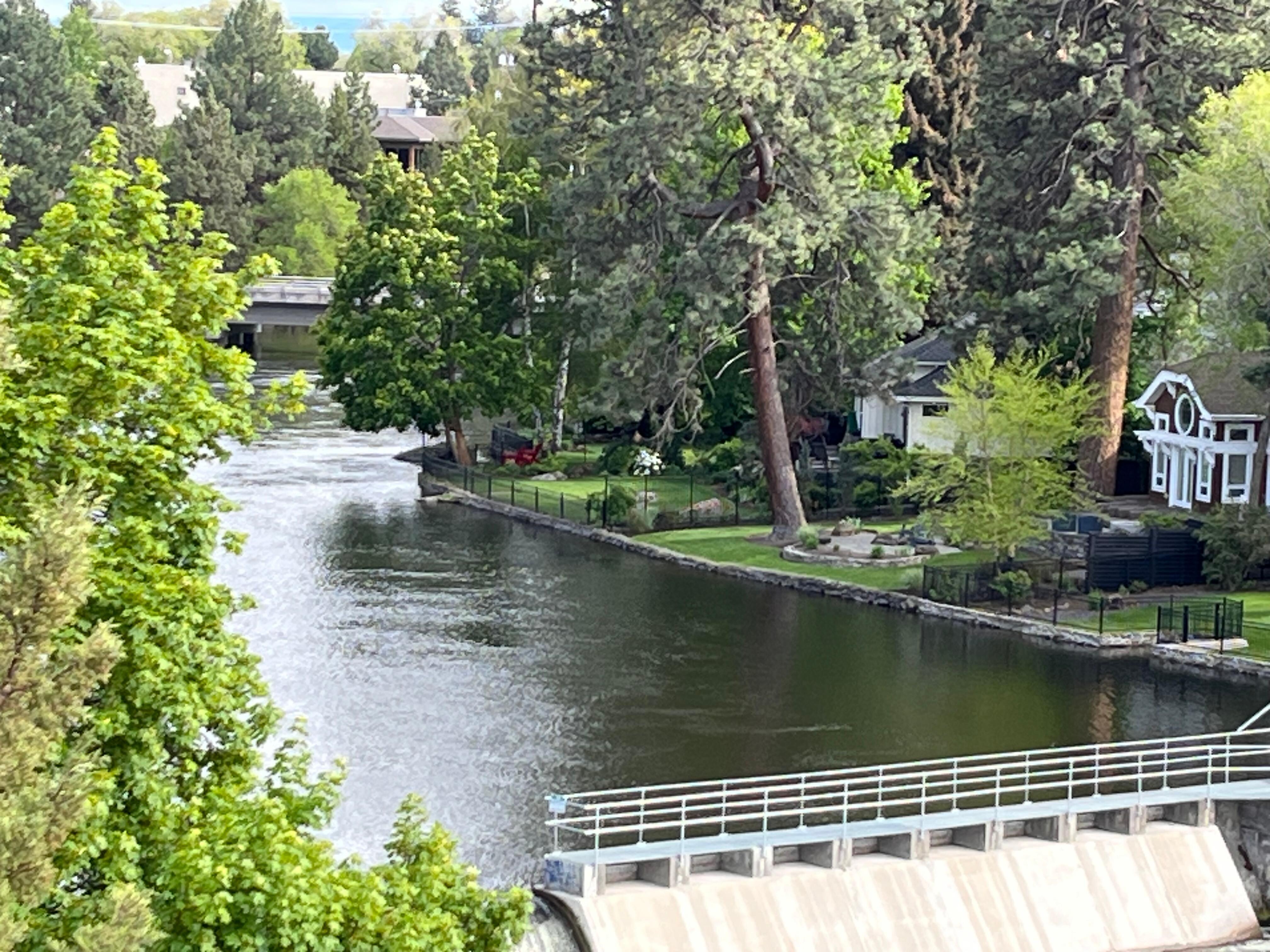 View from side window