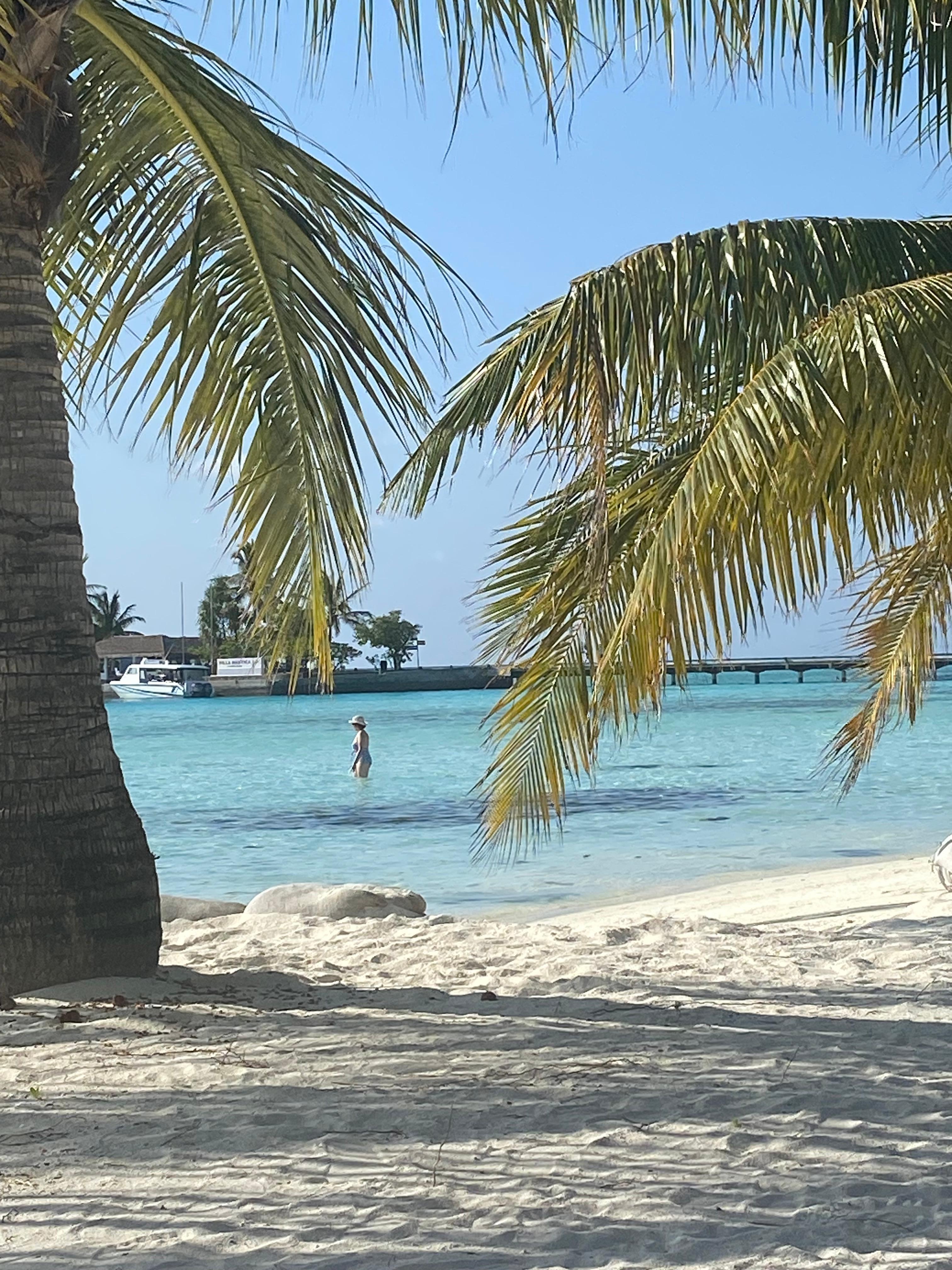 Chilling out under palm tree 