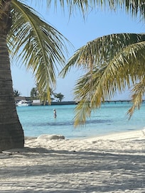 Chilling out under palm tree