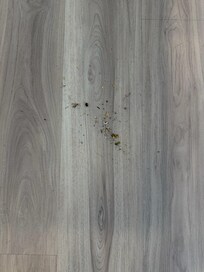 Debris on the floors when we arrived and did a quick sweep.