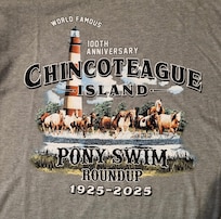 100th Pony Swim