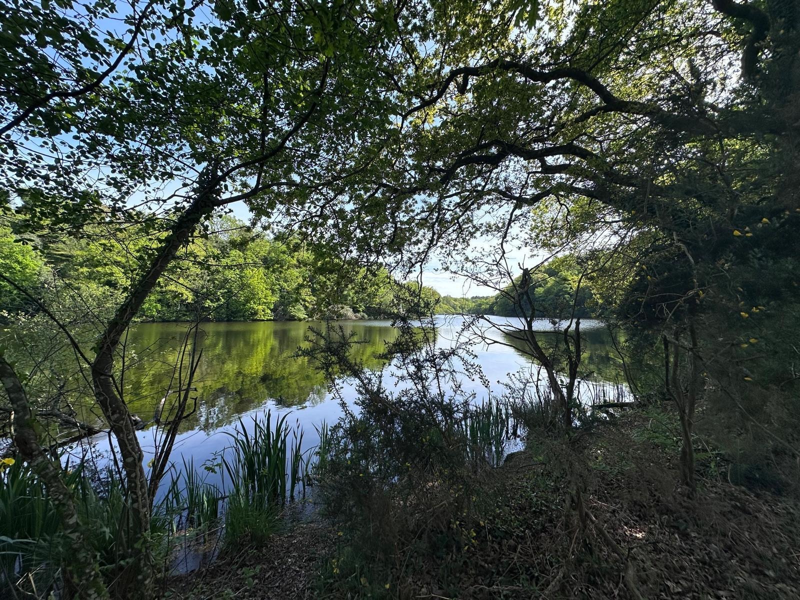 Lors d’une balade au lac 