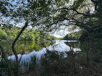 Lors d’une balade au lac