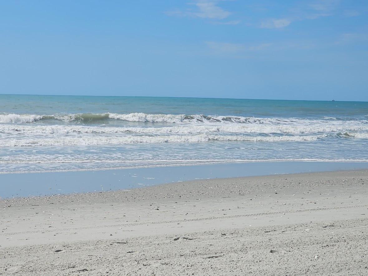 Beach Day