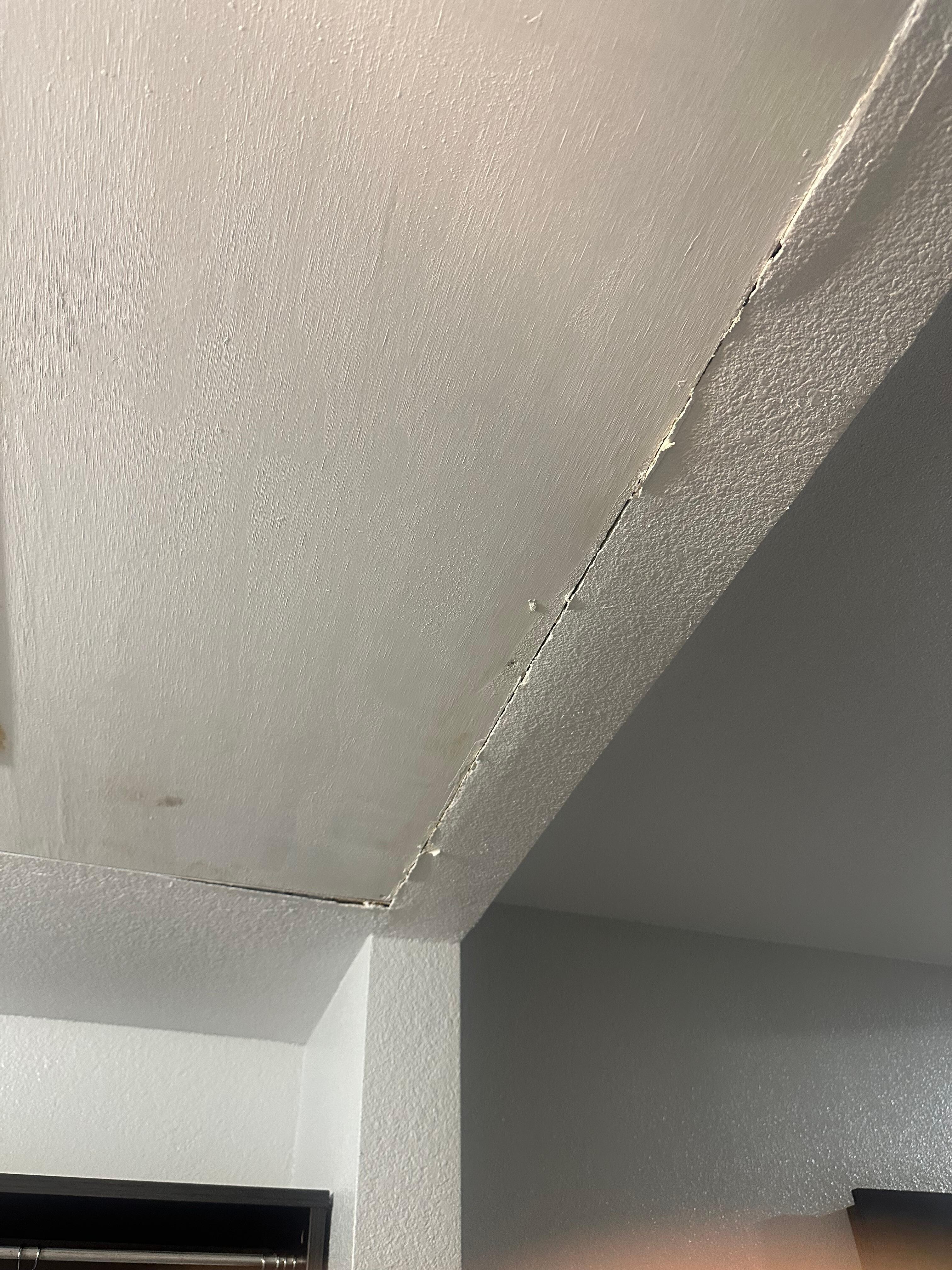 Patched ceilings 