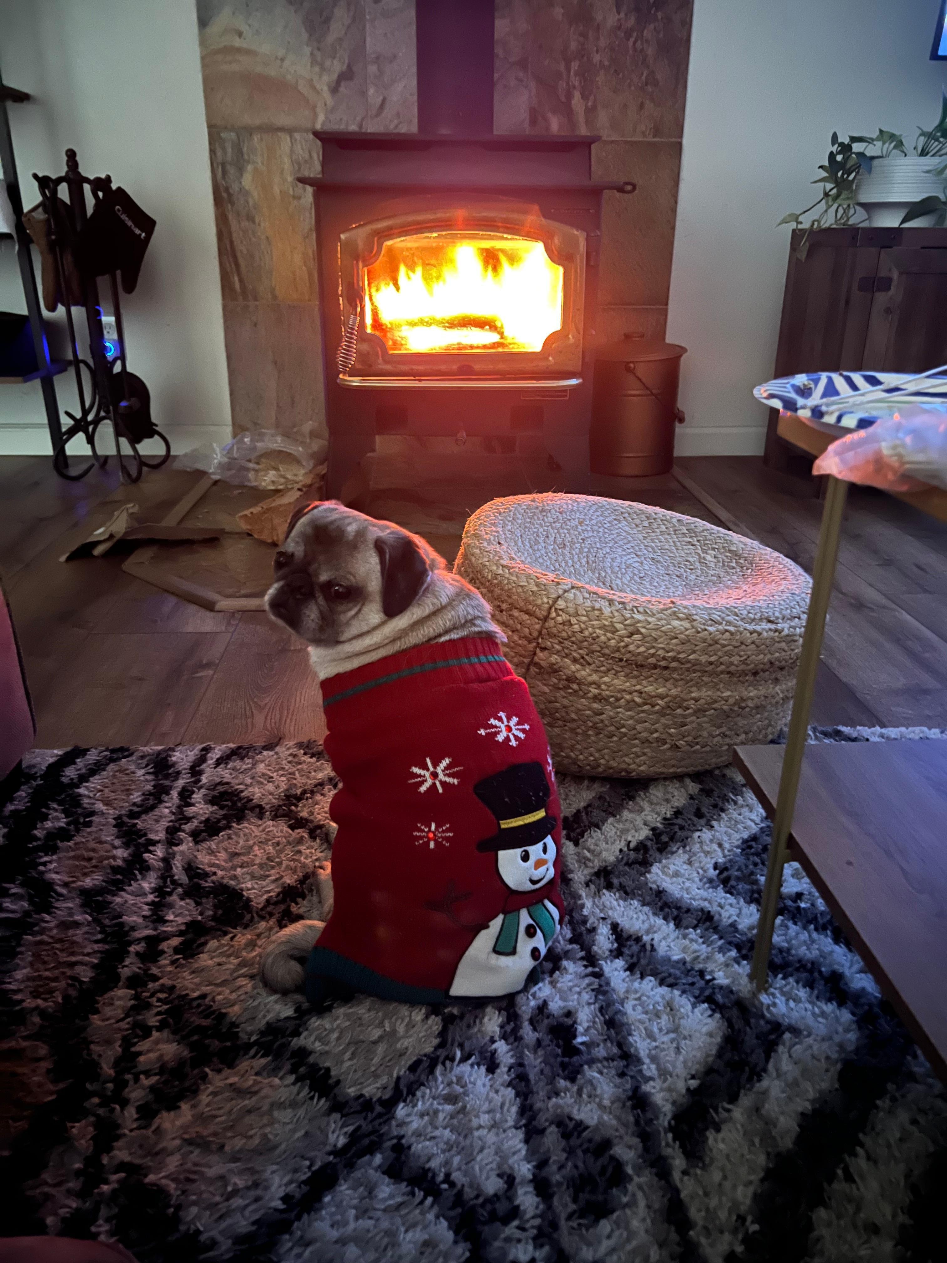 This is pixie enjoying a warm fire